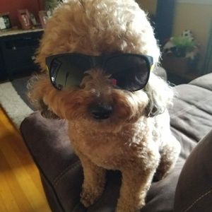 Meet your Posher, Thalia